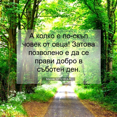 Picture 07 - Матей 12:12 BULG - А колко е по-скъп човек от - Bible Verse Picture