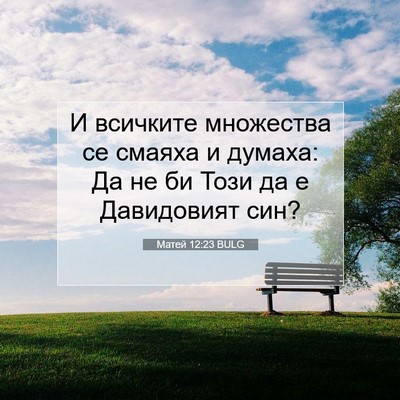 Picture 07 - Матей 12:23 BULG - И всичките множества се - Bible Verse Picture