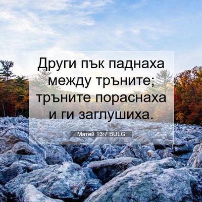 Picture 07 - Матей 13:7 BULG - Други пък паднаха между - Bible Verse Picture