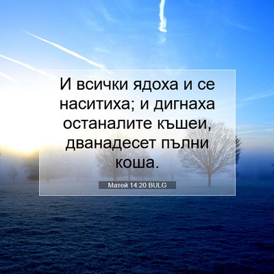 Picture 07 - Матей 14:20 BULG - И всички ядоха и се - Bible Verse Picture