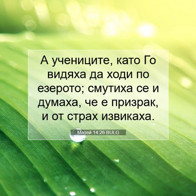 Picture 07 - Матей 14:26 BULG - А учениците, като Го видяха - Bible Verse Picture
