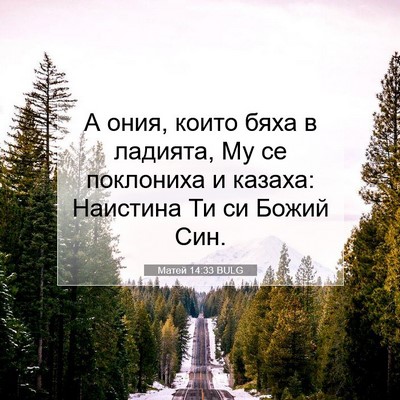 Picture 07 - Матей 14:33 BULG - А ония, които бяха в - Bible Verse Picture
