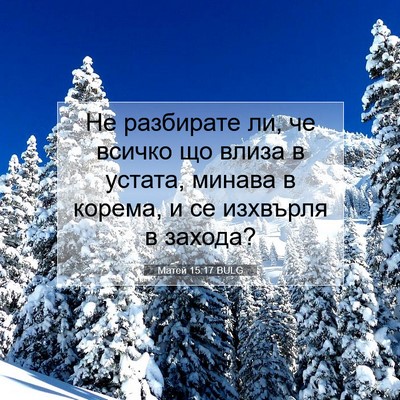 Picture 07 - Матей 15:17 BULG - Не разбирате ли, че всичко - Bible Verse Picture