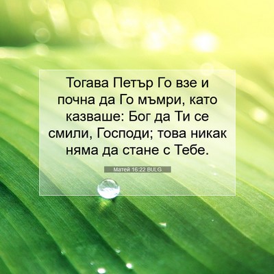 Picture 07 - Матей 16:22 BULG - Тогава Петър Го взе и почна - Bible Verse Picture