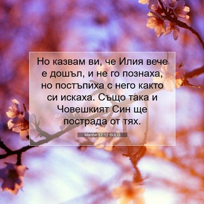 Picture 07 - Матей 17:12 BULG - Но казвам ви, че Илия вече е - Bible Verse Picture