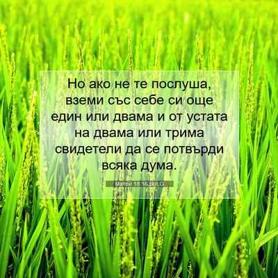 Picture 07 - Матей 18:16 BULG - Но ако не те послуша, вземи - Bible Verse Picture