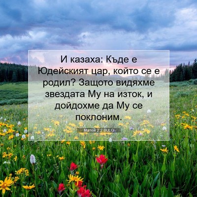 Picture 07 - Матей 2:2 BULG - И казаха: Къде е Юдейският - Bible Verse Picture