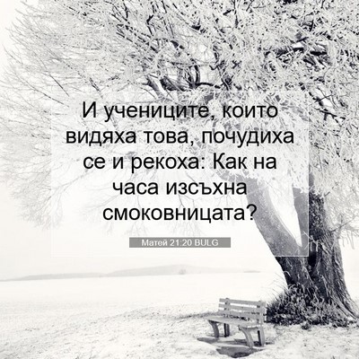 Picture 07 - Матей 21:20 BULG - И учениците, които видяха - Bible Verse Picture