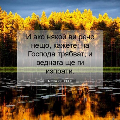 Picture 07 - Матей 21:3 BULG - И ако някой ви рече нещо, - Bible Verse Picture