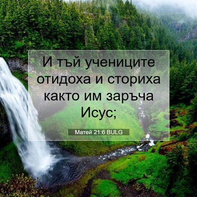 Picture 07 - Матей 21:6 BULG - И тъй учениците отидоха и - Bible Verse Picture