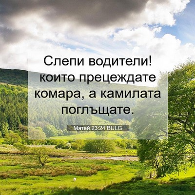 Picture 07 - Матей 23:24 BULG - Слепи водители! които - Bible Verse Picture
