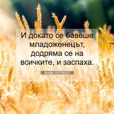 Picture 07 - Матей 25:5 BULG - И докато се бавеше - Bible Verse Picture