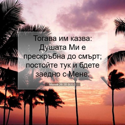 Picture 07 - Матей 26:38 BULG - Тогава им казва: Душата Ми - Bible Verse Picture