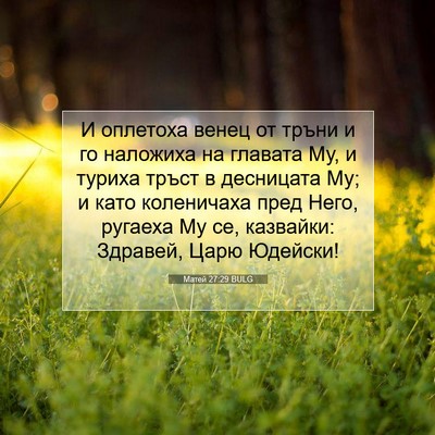Picture 07 - Матей 27:29 BULG - И оплетоха венец от тръни и - Bible Verse Picture
