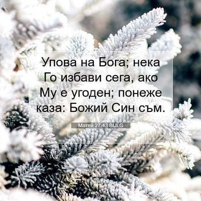 Picture 07 - Матей 27:43 BULG - Упова на Бога; нека Го - Bible Verse Picture