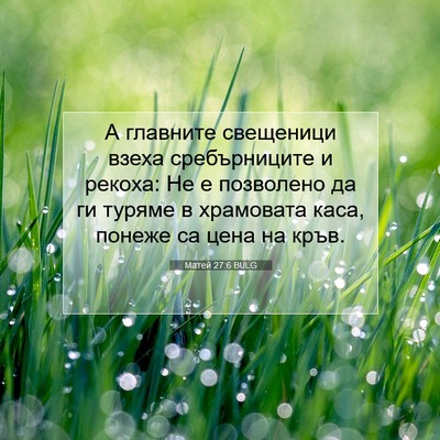 Picture 07 - Матей 27:6 BULG - А главните свещеници взеха - Bible Verse Picture