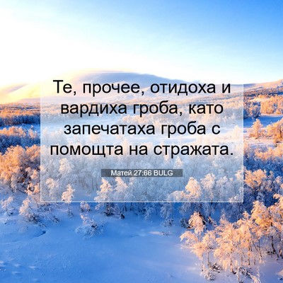 Picture 07 - Матей 27:66 BULG - Те, прочее, отидоха и - Bible Verse Picture
