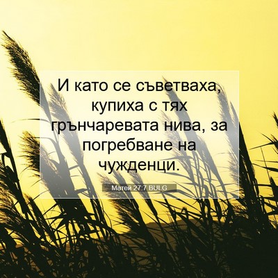 Picture 07 - Матей 27:7 BULG - И като се съветваха, купиха - Bible Verse Picture