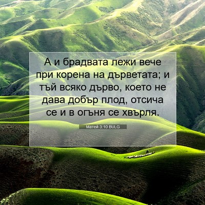 Picture 07 - Матей 3:10 BULG - А и брадвата лежи вече при - Bible Verse Picture