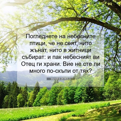 Picture 07 - Матей 6:26 BULG - Погледнете на небесните - Bible Verse Picture