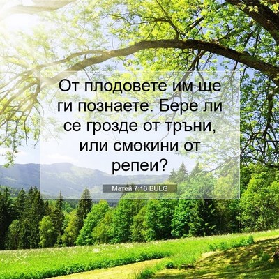 Picture 07 - Матей 7:16 BULG - От плодовете им ще ги - Bible Verse Picture
