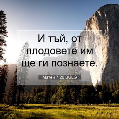 Picture 07 - Матей 7:20 BULG - И тъй, от плодовете им ще ги - Bible Verse Picture