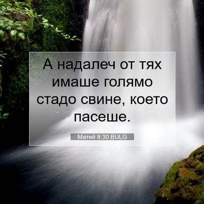 Picture 07 - Матей 8:30 BULG - А надалеч от тях имаше - Bible Verse Picture