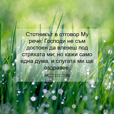 Picture 07 - Матей 8:8 BULG - Стотникът в отговор Му - Bible Verse Picture