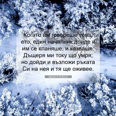 Picture 07 - Матей 9:18 BULG - Когато им говореше това, - Bible Verse Picture