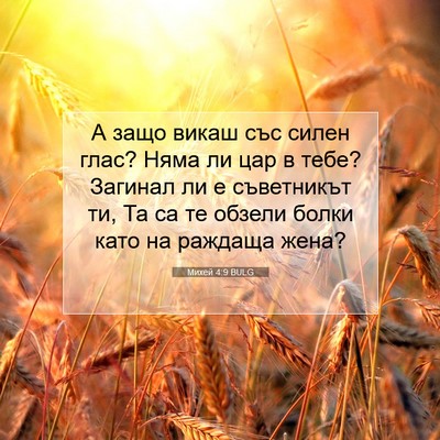 Picture 07 - Михей 4:9 BULG - А защо викаш със силен - Bible Verse Picture