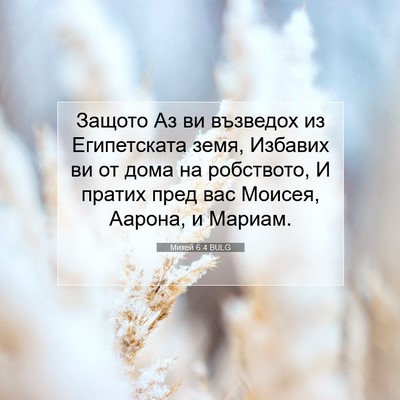 Picture 07 - Михей 6:4 BULG - Защото Аз ви възведох из - Bible Verse Picture