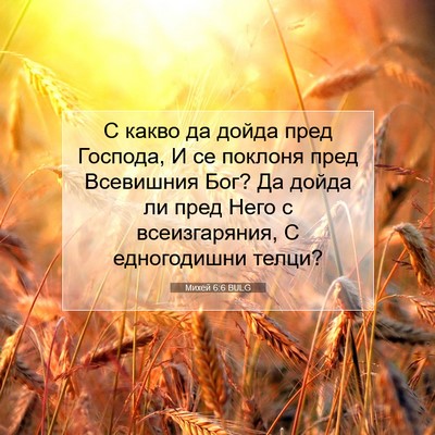 Picture 07 - Михей 6:6 BULG - С какво да дойда пред - Bible Verse Picture