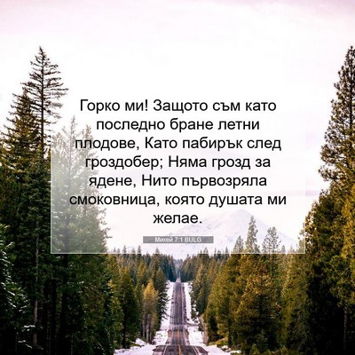 Picture 07 - Михей 7:1 BULG - Горко ми! Защото съм като - Bible Verse Picture