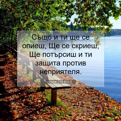 Picture 07 - Наум 3:11 BULG - Също и ти ще се опиеш, Ще се - Bible Verse Picture