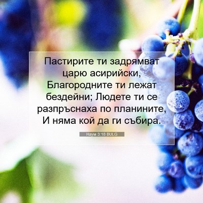 Picture 07 - Наум 3:18 BULG - Пастирите ти задрямват - Bible Verse Picture