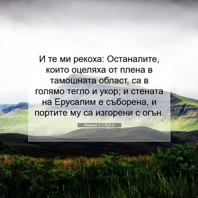 Picture 07 - Неемия 1:3 BULG - И те ми рекоха: Останалите, - Bible Verse Picture