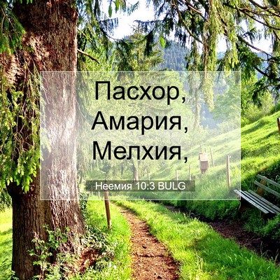 Picture 07 - Неемия 10:3 BULG - Пасхор, Амария, - Bible Verse Picture