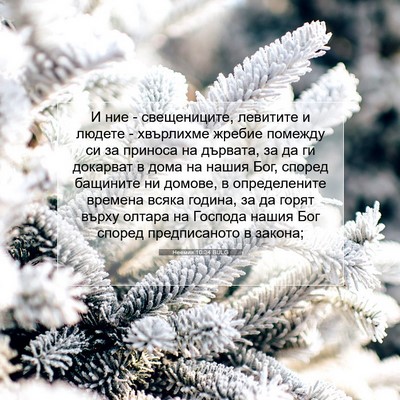 Picture 07 - Неемия 10:34 BULG - И ние - свещениците, - Bible Verse Picture