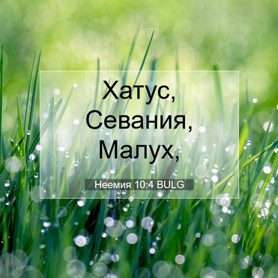Picture 07 - Неемия 10:4 BULG - Хатус, Севания, - Bible Verse Picture