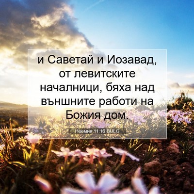 Picture 07 - Неемия 11:16 BULG - и Саветай и Иозавад, от - Bible Verse Picture