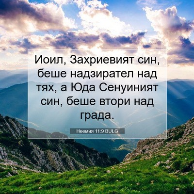 Picture 07 - Неемия 11:9 BULG - Иоил, Захриевият син, беше - Bible Verse Picture