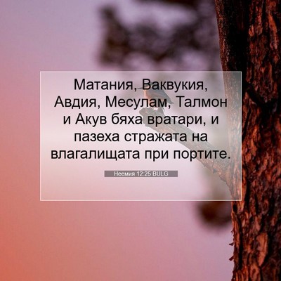 Picture 07 - Неемия 12:25 BULG - Матания, Ваквукия, Авдия, - Bible Verse Picture