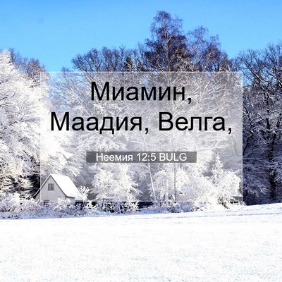 Picture 07 - Неемия 12:5 BULG - Миамин, Маадия, - Bible Verse Picture
