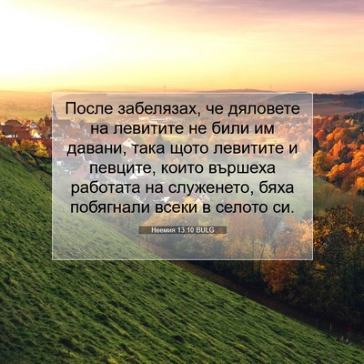 Picture 07 - Неемия 13:10 BULG - После забелязах, че - Bible Verse Picture