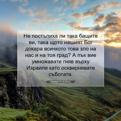 Picture 07 - Неемия 13:18 BULG - Не постъпиха ли така - Bible Verse Picture