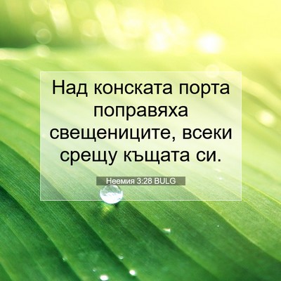 Picture 07 - Неемия 3:28 BULG - Над конската порта - Bible Verse Picture