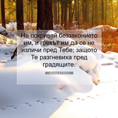 Picture 07 - Неемия 4:5 BULG - Не покривай беззаконието - Bible Verse Picture