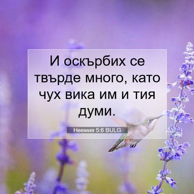 Picture 07 - Неемия 5:6 BULG - И оскърбих се твърде много, - Bible Verse Picture
