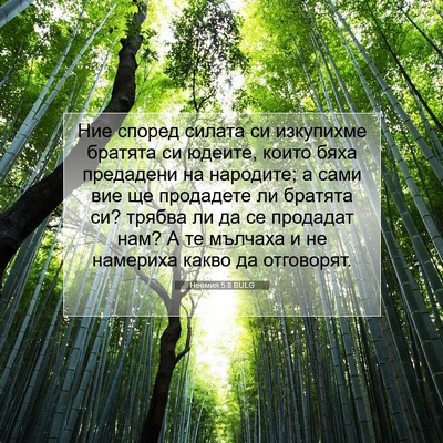 Picture 07 - Неемия 5:8 BULG - Ние според силата си - Bible Verse Picture