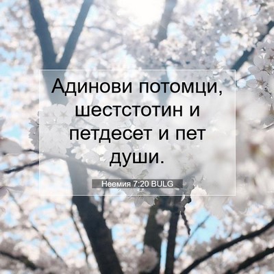 Picture 07 - Неемия 7:20 BULG - Адинови потомци, - Bible Verse Picture